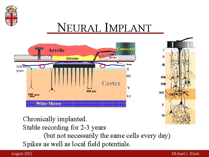 NEURAL IMPLANT Chronically implanted. Stable recording for 2 -3 years (but not necessarily the