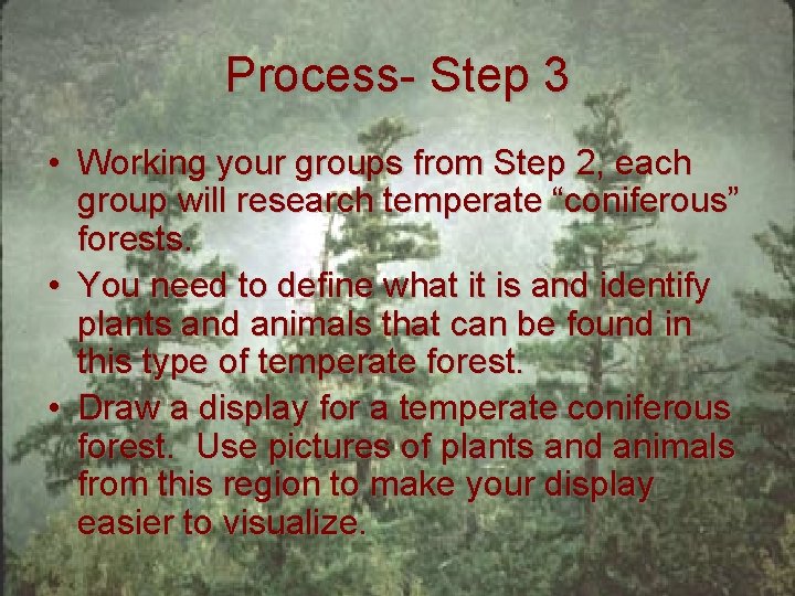 Process- Step 3 • Working your groups from Step 2, each group will research