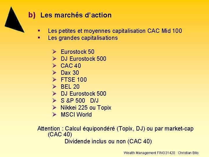 b) Les marchés d’action § § Les petites et moyennes capitalisation CAC Mid 100