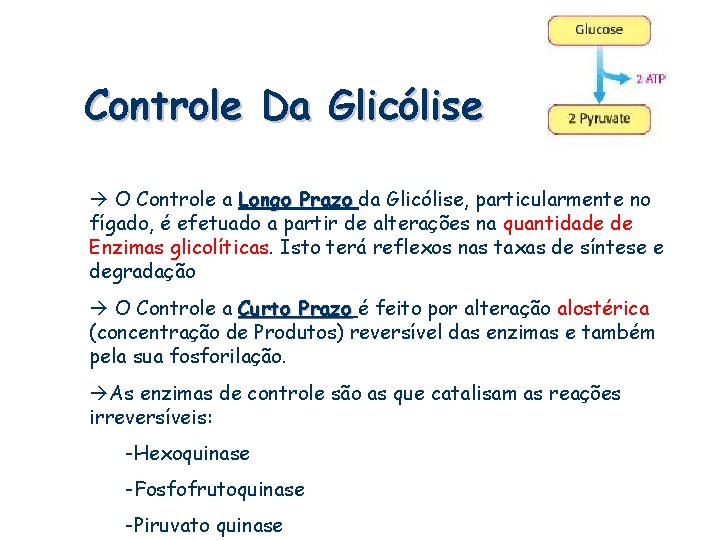 Controle Da Glicólise O Controle a Longo Prazo da Glicólise, particularmente no fígado, é
