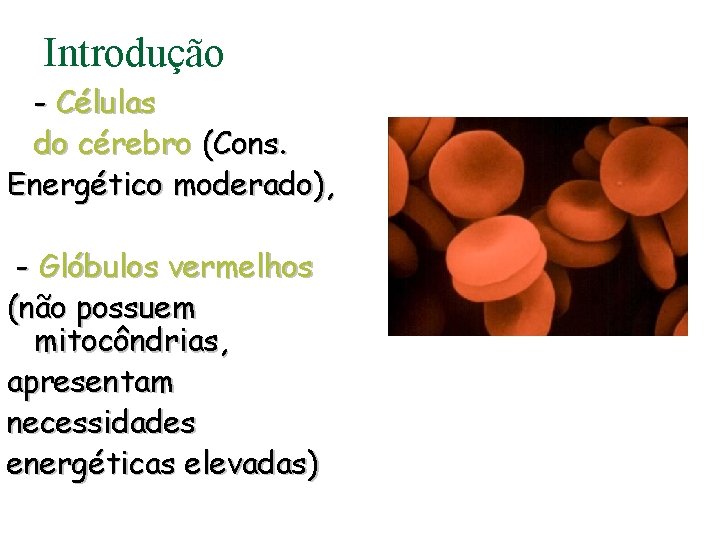 Introdução - Células do cérebro (Cons. Energético moderado), - Glóbulos vermelhos (não possuem mitocôndrias,