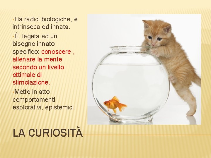  • Ha radici biologiche, è intrinseca ed innata. • È legata ad un