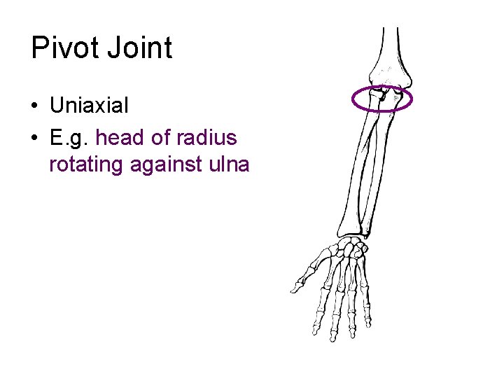 Joints of the Human Body Joint Classification Synovial