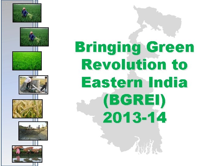 Bringing Green Revolution to Eastern India (BGREI) 2013 -14 