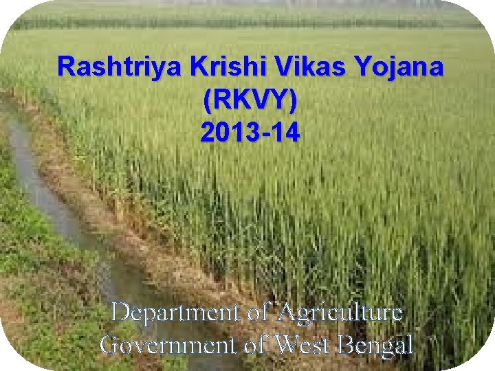 Rashtriya Krishi Vikas Yojana (RKVY) 2013 -14 Department of Agriculture Government of West Bengal