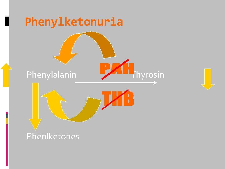 Phenylketonuria Phenylalanin Phenlketones Thyrosin 