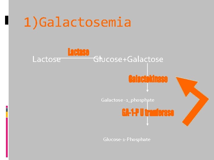 1)Galactosemia Lactose Glucose+Galactose -1_phosphate Glucose-1 -Phosphate 