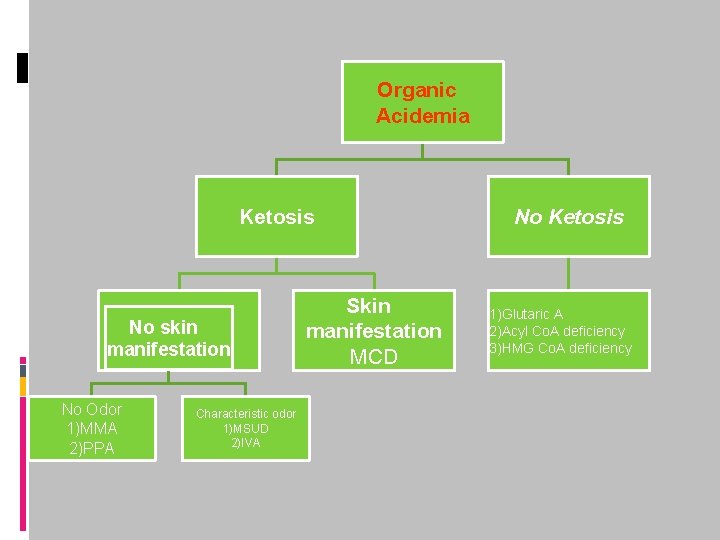 Organic Acidemia Ketosis No skin No  manifestation No Odor 1)MMA 2)PPA Characteristic odor