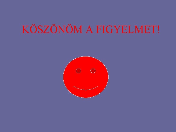 KÖSZÖNÖM A FIGYELMET! 