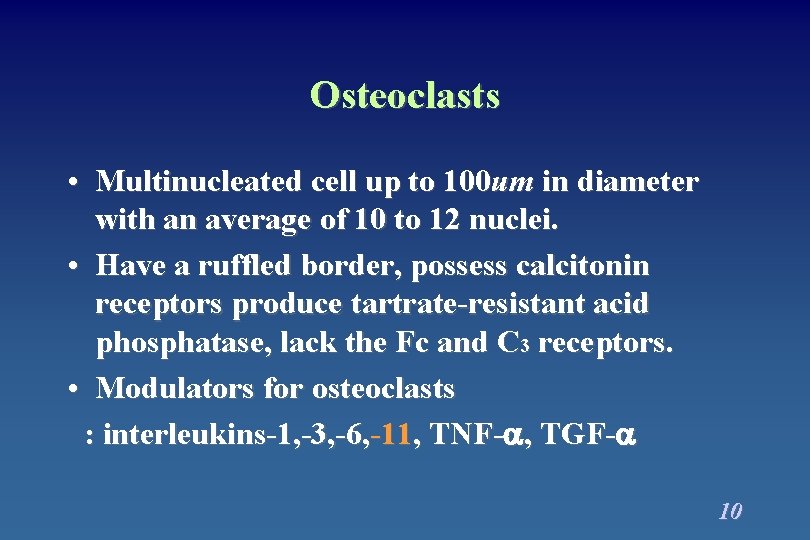 Osteoclasts • Multinucleated cell up to 100 um in diameter with an average of Osteoclasts • Multinucleated cell up to 100 um in diameter with an average of