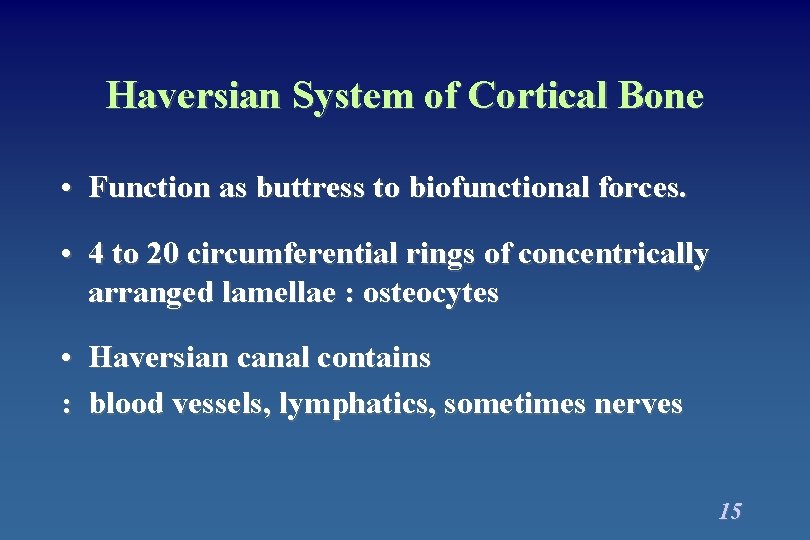 Haversian System of Cortical Bone • Function as buttress to biofunctional forces. • 4 Haversian System of Cortical Bone • Function as buttress to biofunctional forces. • 4