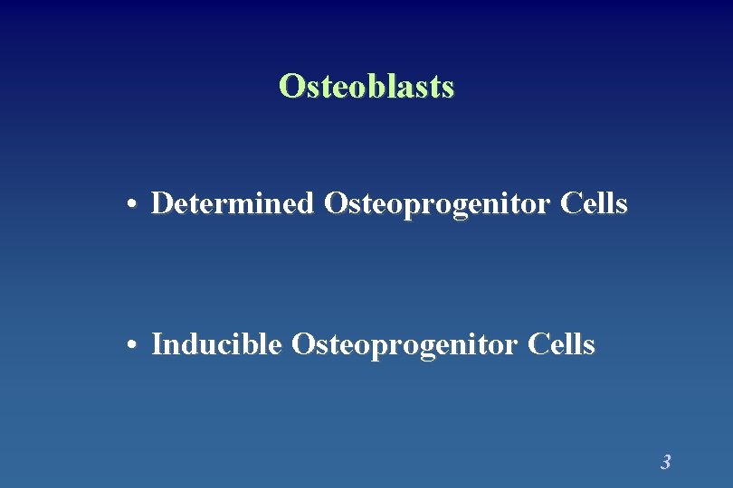 Osteoblasts • Determined Osteoprogenitor Cells • Inducible Osteoprogenitor Cells 3 Osteoblasts • Determined Osteoprogenitor Cells • Inducible Osteoprogenitor Cells 3