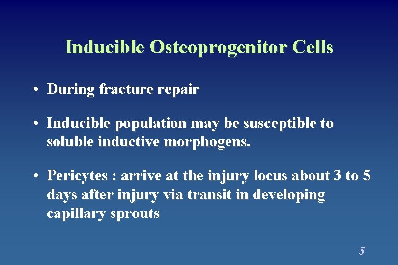 Inducible Osteoprogenitor Cells • During fracture repair • Inducible population may be susceptible to Inducible Osteoprogenitor Cells • During fracture repair • Inducible population may be susceptible to