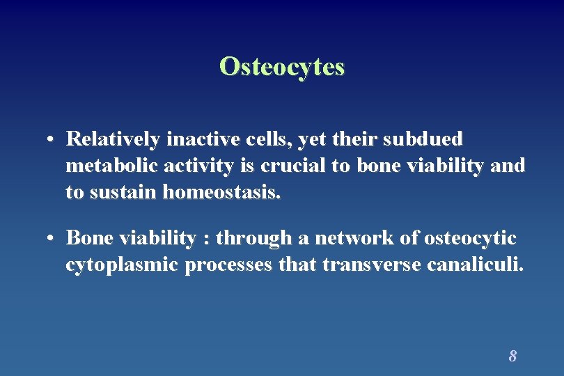 Osteocytes • Relatively inactive cells, yet their subdued metabolic activity is crucial to bone Osteocytes • Relatively inactive cells, yet their subdued metabolic activity is crucial to bone