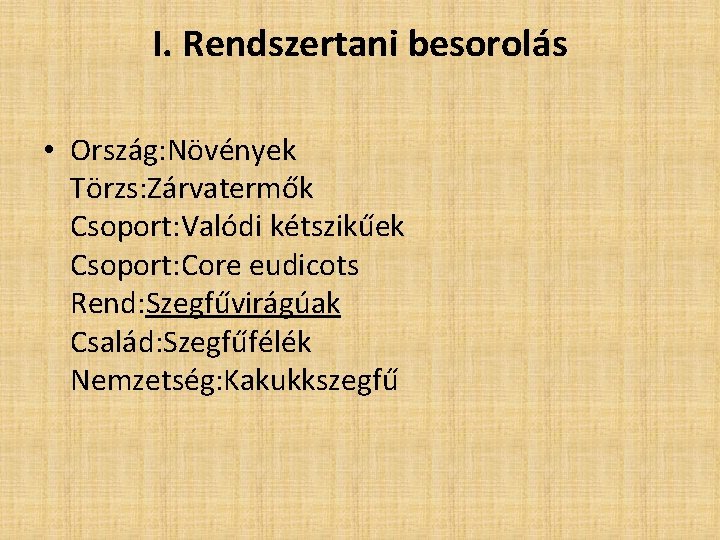 I. Rendszertani besorolás • Ország: Növények Törzs: Zárvatermők Csoport: Valódi kétszikűek Csoport: Core eudicots