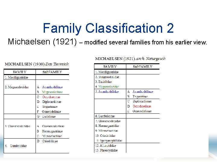 Family Classification 2 Michaelsen (1921) – modified several families from his earlier view. 