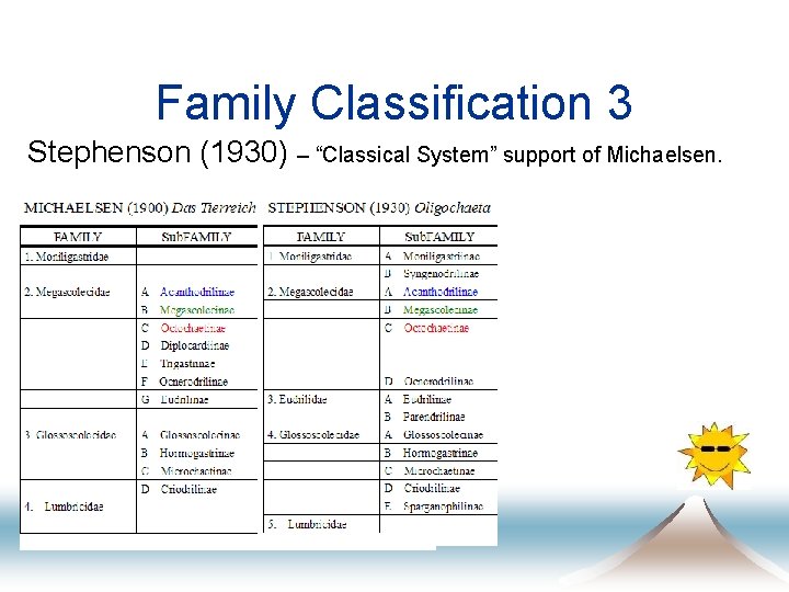 Family Classification 3 Stephenson (1930) – “Classical System” support of Michaelsen. 