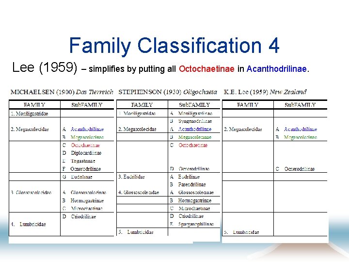 Family Classification 4 Lee (1959) – simplifies by putting all Octochaetinae in Acanthodrilinae. 