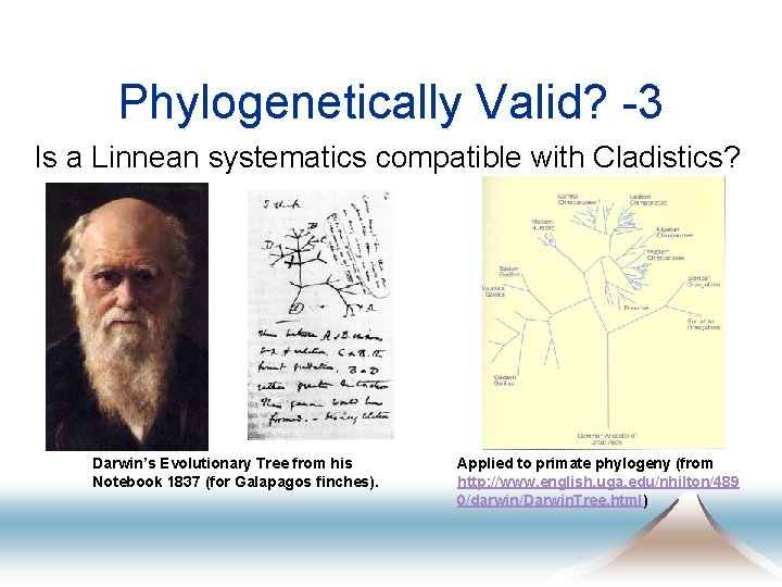 Phylogenetically Valid? -3 Is a Linnean systematics compatible with Cladistics? Darwin’s Evolutionary Tree from