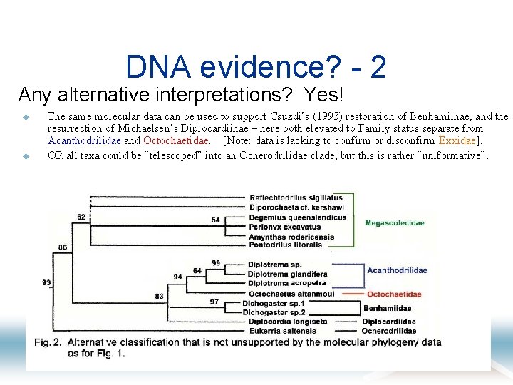 DNA evidence? - 2 Any alternative interpretations? Yes! u u The same molecular data