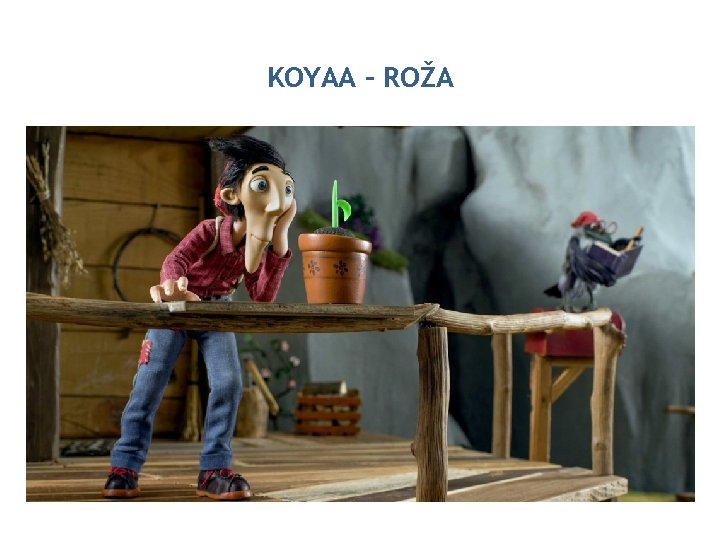 KOYAA – ROŽA 