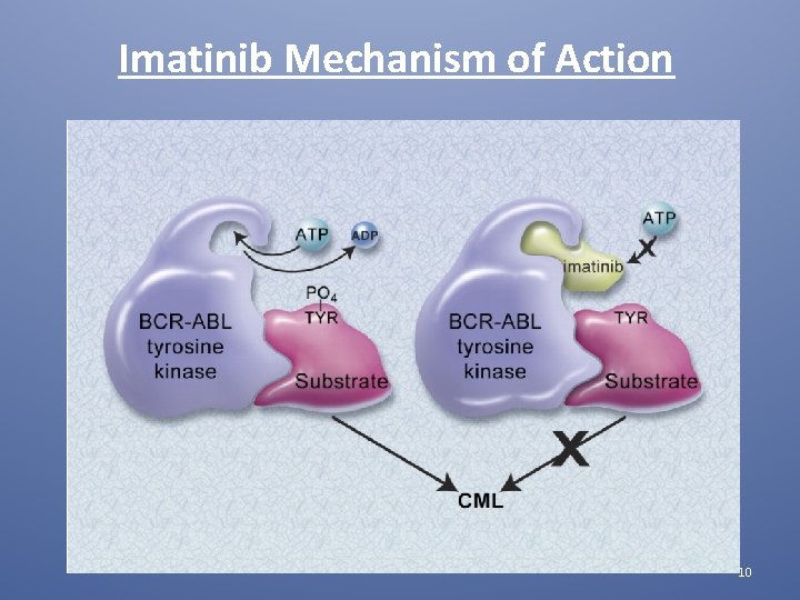 Imatinib Mechanism of Action 10 
