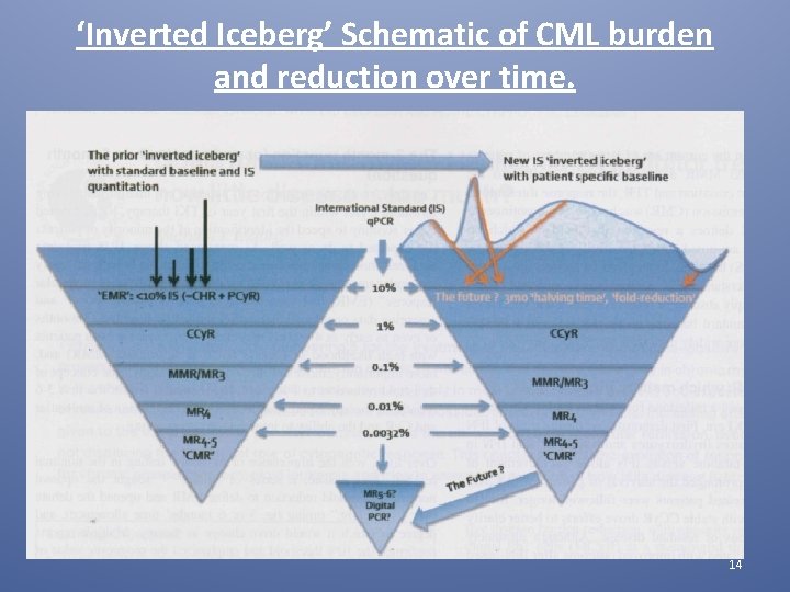 ‘Inverted Iceberg’ Schematic of CML burden and reduction over time. 14 