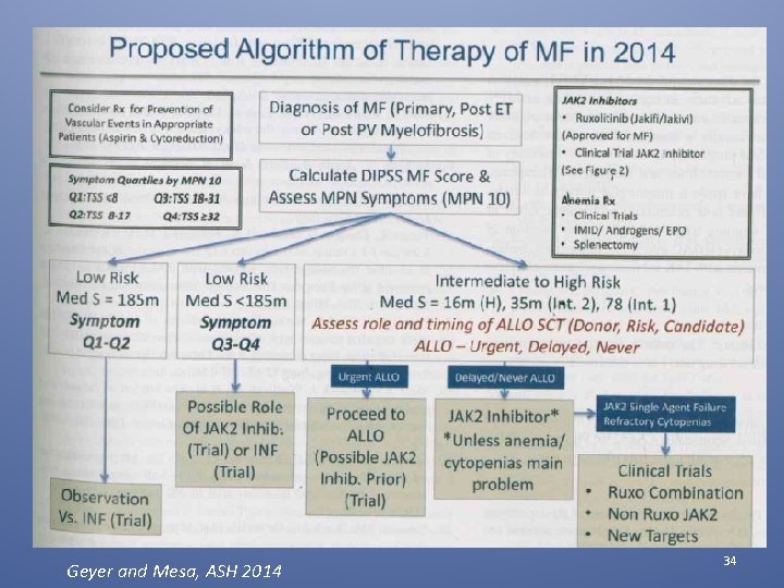 Geyer and Mesa, ASH 2014 34 