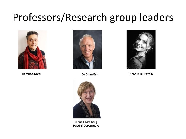 Professors/Research group leaders Rosaria Galanti Bo Burström Marie Hasselberg Head of Department Anna Mia Professors/Research group leaders Rosaria Galanti Bo Burström Marie Hasselberg Head of Department Anna Mia