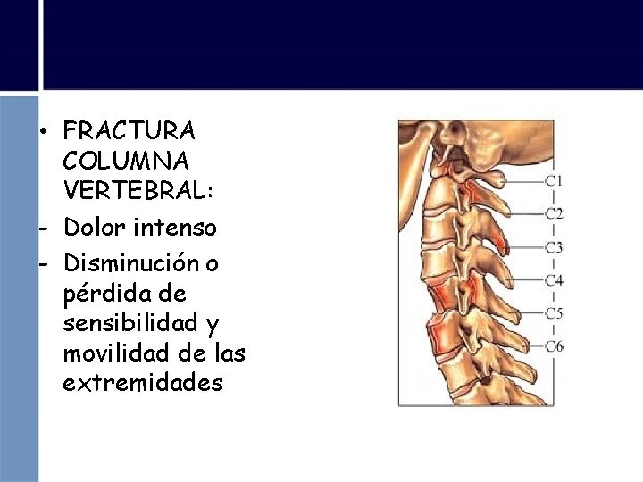  • FRACTURA COLUMNA VERTEBRAL: - Dolor intenso - Disminución o pérdida de sensibilidad