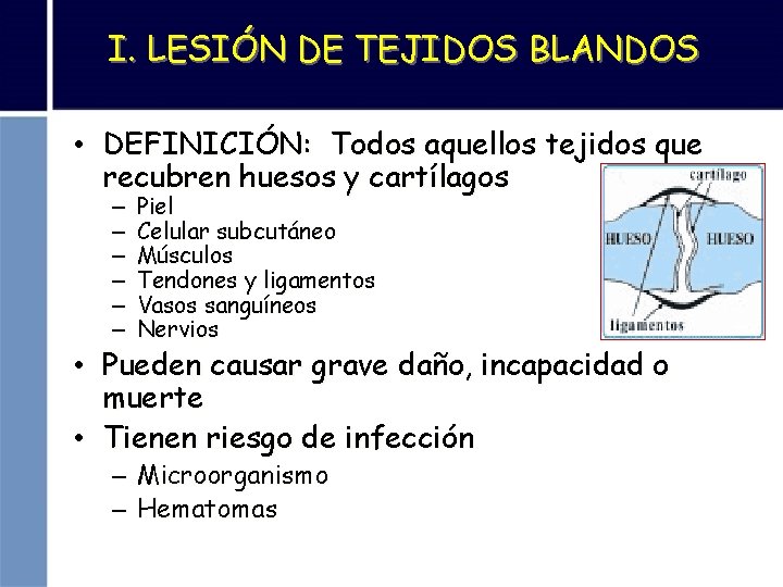 I. LESIÓN DE TEJIDOS BLANDOS • DEFINICIÓN: Todos aquellos tejidos que recubren huesos y