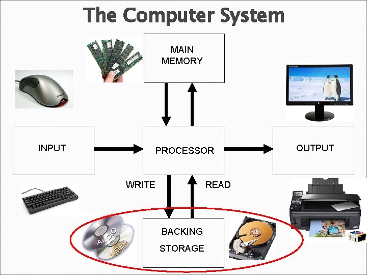 The Computer System MAIN MEMORY INPUT PROCESSOR WRITE READ BACKING STORAGE OUTPUT  The Computer System MAIN MEMORY INPUT PROCESSOR WRITE READ BACKING STORAGE OUTPUT