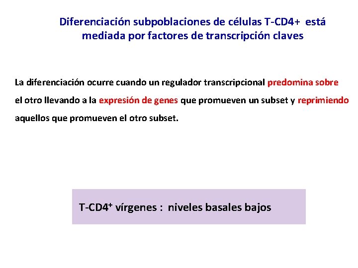 Diferenciación subpoblaciones de células T-CD 4+ está mediada por factores de transcripción claves La