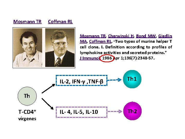 Mosmann TR Coffman RL Mosmann TR, Cherwinski H, Bond MW, Giedlin MA, Coffman RL.