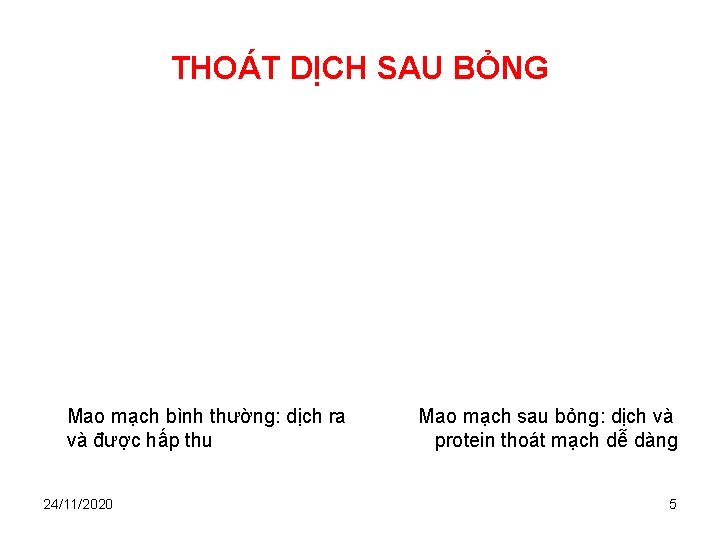 THOÁT DỊCH SAU BỎNG Mao mạch bình thường: dịch ra và được hấp thu