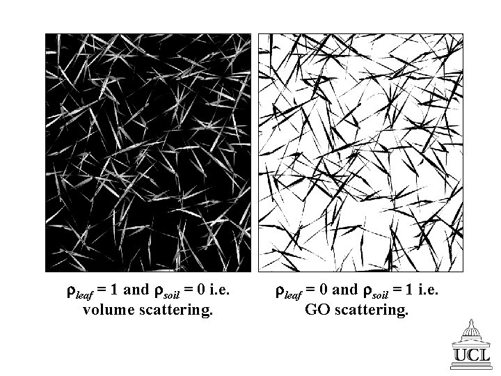  leaf = 1 and soil = 0 i. e. volume scattering. leaf =