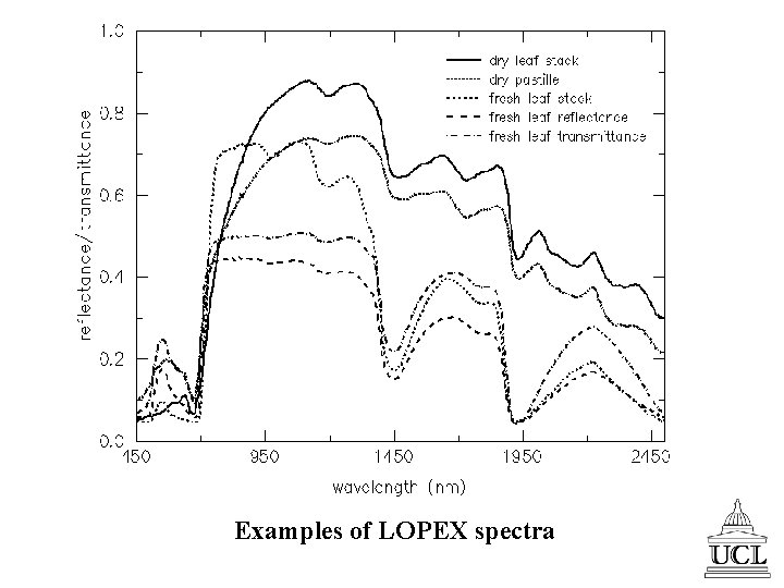 Examples of LOPEX spectra 