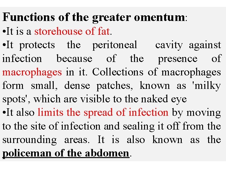 Functions of the greater omentum: • It is a storehouse of fat. • It