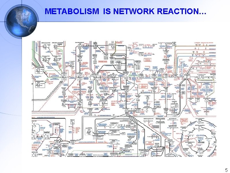METABOLISM IS NETWORK REACTION… 5 