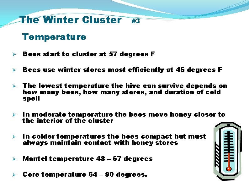 The Winter Cluster #3 Temperature Ø Bees start to cluster at 57 degrees F