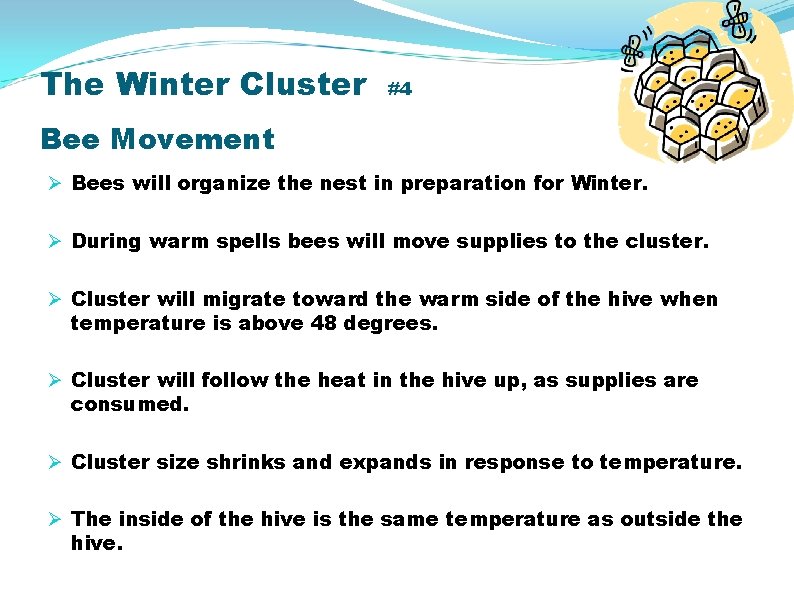 The Winter Cluster #4 Bee Movement Ø Bees will organize the nest in preparation