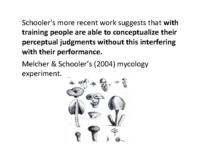 Schooler's more recent work suggests that with training people are able to conceptualize their