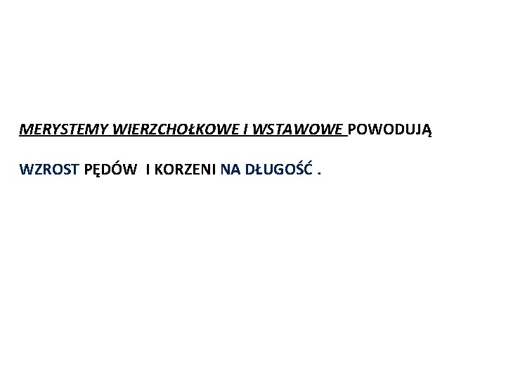 MERYSTEMY WIERZCHOŁKOWE I WSTAWOWE POWODUJĄ WZROST PĘDÓW I KORZENI NA DŁUGOŚĆ. 