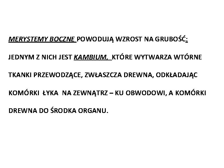 MERYSTEMY BOCZNE POWODUJĄ WZROST NA GRUBOŚĆ: JEDNYM Z NICH JEST KAMBIUM, KTÓRE WYTWARZA WTÓRNE