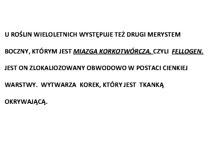 U ROŚLIN WIELOLETNICH WYSTĘPUJE TEŻ DRUGI MERYSTEM BOCZNY, KTÓRYM JEST MIAZGA KORKOTWÓRCZA, CZYLI FELLOGEN.