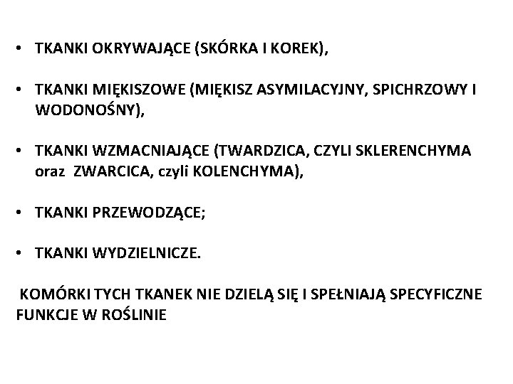  • TKANKI OKRYWAJĄCE (SKÓRKA I KOREK), • TKANKI MIĘKISZOWE (MIĘKISZ ASYMILACYJNY, SPICHRZOWY I