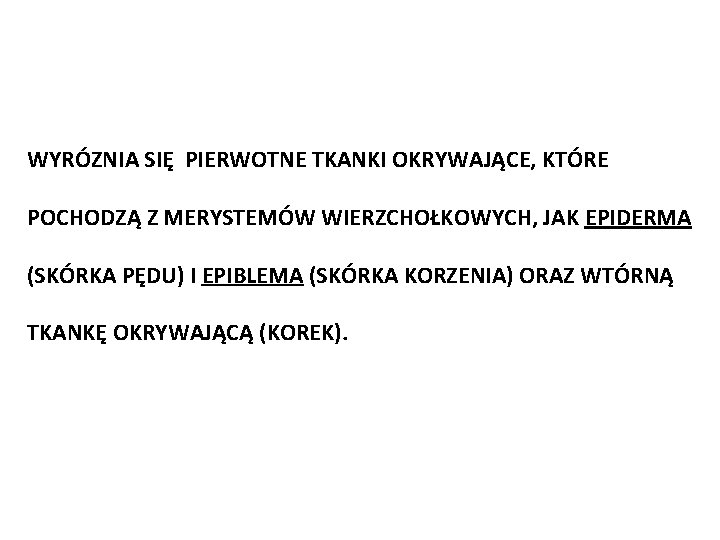 WYRÓZNIA SIĘ PIERWOTNE TKANKI OKRYWAJĄCE, KTÓRE POCHODZĄ Z MERYSTEMÓW WIERZCHOŁKOWYCH, JAK EPIDERMA (SKÓRKA PĘDU)