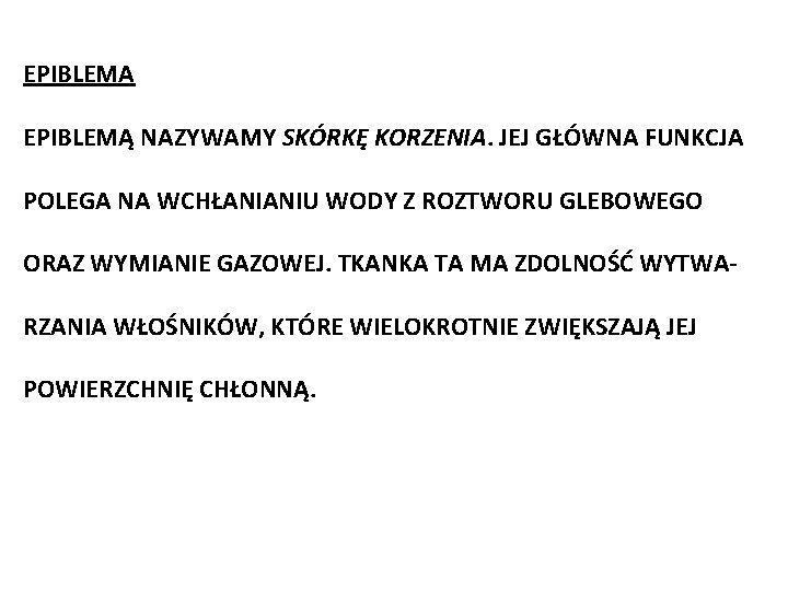 EPIBLEMA EPIBLEMĄ NAZYWAMY SKÓRKĘ KORZENIA. JEJ GŁÓWNA FUNKCJA POLEGA NA WCHŁANIANIU WODY Z ROZTWORU