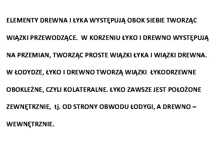 ELEMENTY DREWNA I ŁYKA WYSTĘPUJĄ OBOK SIEBIE TWORZĄC WIĄZKI PRZEWODZĄCE. W KORZENIU ŁYKO I