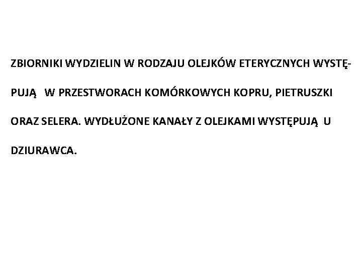 ZBIORNIKI WYDZIELIN W RODZAJU OLEJKÓW ETERYCZNYCH WYSTĘPUJĄ W PRZESTWORACH KOMÓRKOWYCH KOPRU, PIETRUSZKI ORAZ SELERA.